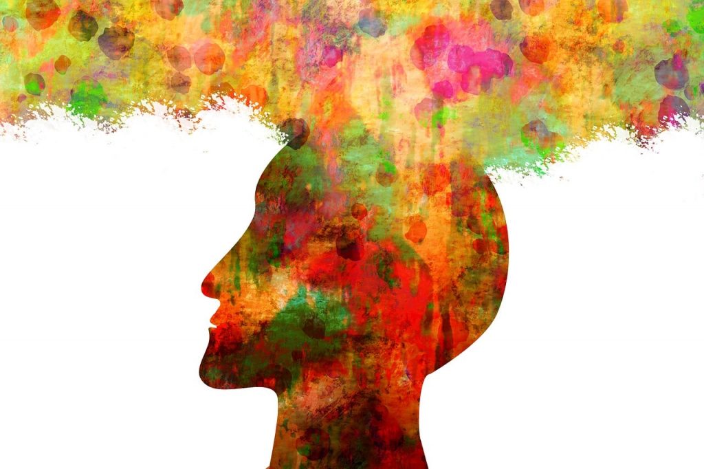 cerveau bullessoyoga